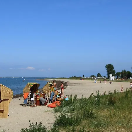 Holiday Gelting - Dos12009-f * Wackerballig
